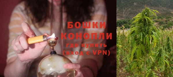 PSILOCYBIN Абдулино