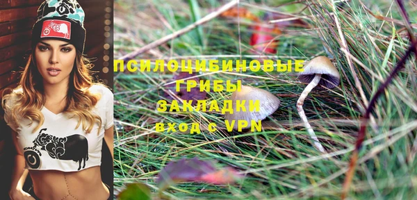 амф Абинск